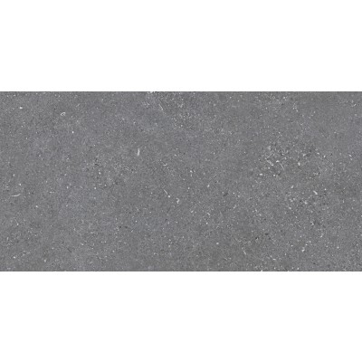 DAKN 04 STAVANGER LAPPATO RECT WINTER 298 X 600 X 10 MM