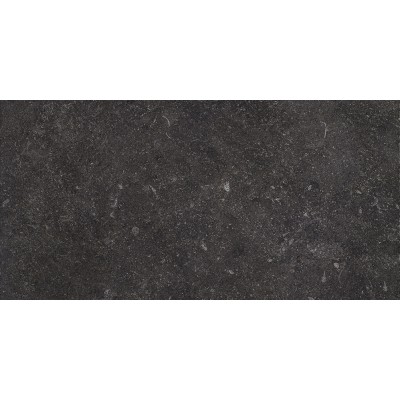 DTEV 02 STONEVOLUTION MATT RECTIFIED ZWART 296.5 X 595 X 9.5 M