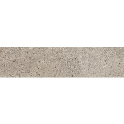 DYGF 02 PETROLOGY_3 GRIS FLEURY TAUPE NAT/RECT 296.5 X 1193 X 10.5 MM