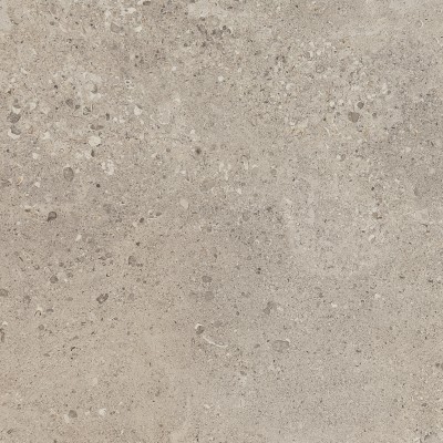 DYGF 02 PETROLOGY_3 GRIS FLEURY TAUPE NAT/RECT 747 X 747 X 10 MM