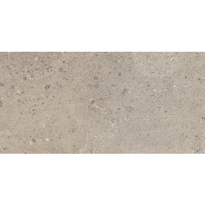 DYGF 02 PETROLOGY_3 GRIS FLEURY TAUPE STRUCTURED/RECT 296.5X595X10.5MM