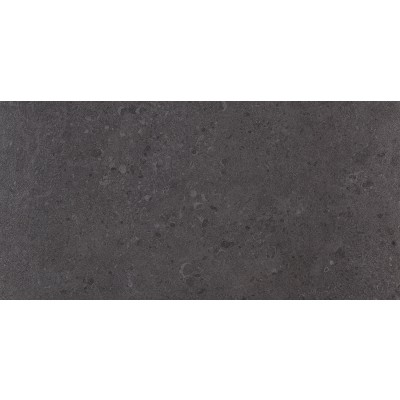 DYGF 05 PETROLOGY_3 GRIS FLEURY NERO NAT/RECT 296.5 X 595 X 10 MM